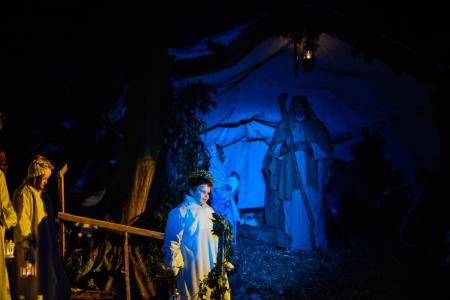 Predstava Božična noč pri Ivanovem izviru, sezona 2014-2015 31